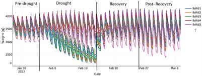 Drought response of water-conserving and non-conserving spring barley cultivars